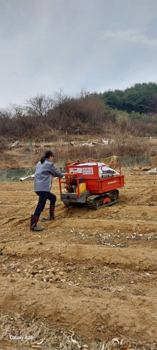 이일철 (조이산골)님의 자유주제 · 자유게시판 작성글 사진