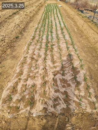 정석범님의 자유주제 · 자유게시판 작성글 사진