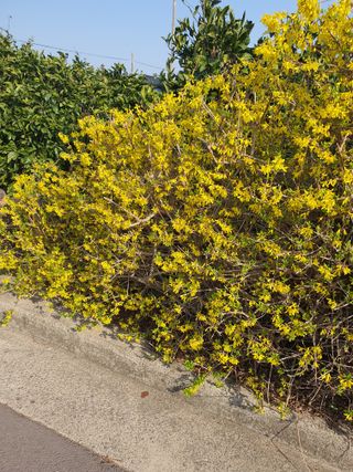 하나라도 소중하게님의 자유주제 · 자유게시판 작성글 사진