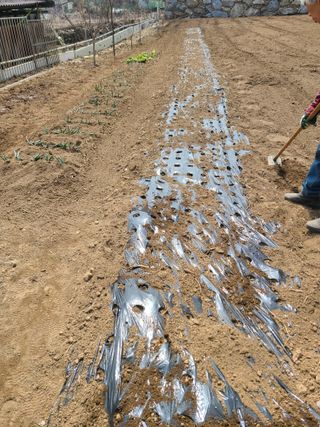 이박농장님의 자유주제 · 자유게시판 작성글 사진