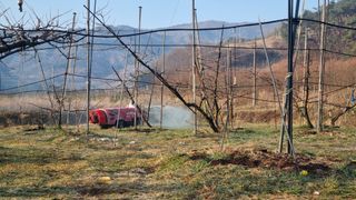 배정호 하늘농장 님의 2025 풍년들게 하소서! · 참여글 작성글 사진