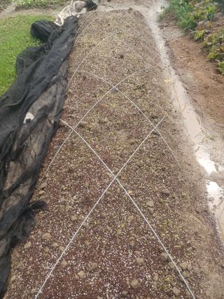 무료지식나눔 팜닥터님의 자유주제 · 자유게시판 작성글 사진