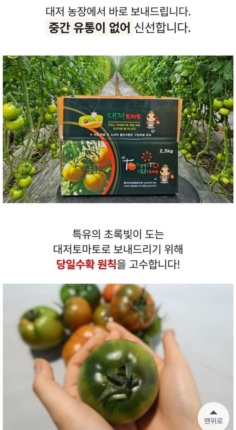 정길영님의 장터 판매 상품 [대저 토마토 2.5kg] 첨부 사진