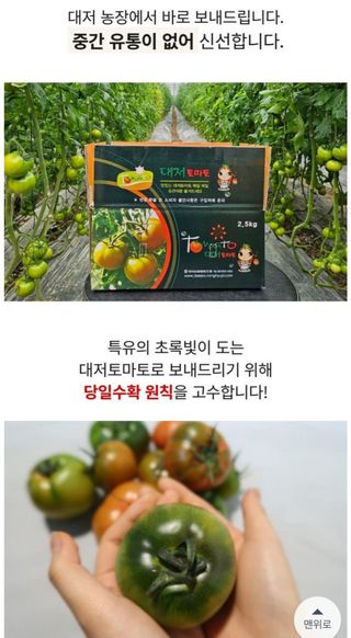 정길영님의 작성글 사진