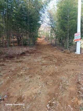 오금식(대청농원)님의 2025 풍년들게 하소서! · 참여글 작성글 사진