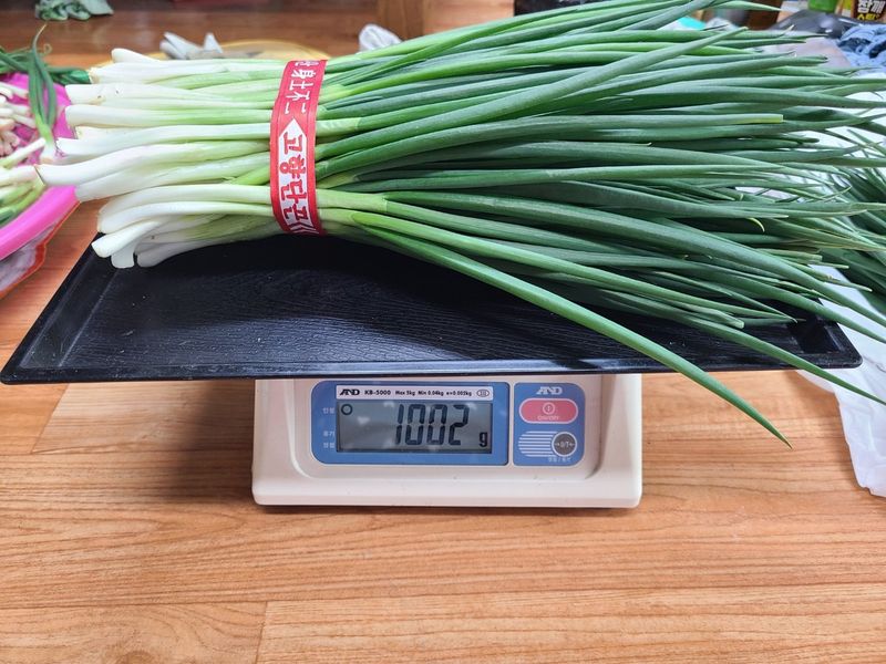 김윤기님의 장터 판매 상품 [무공해 쪽파 깐쪽파 팝니다(5kg.10kg)] 첨부 사진