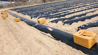 친환경님의 자유주제 · 자유게시판 작성글 사진