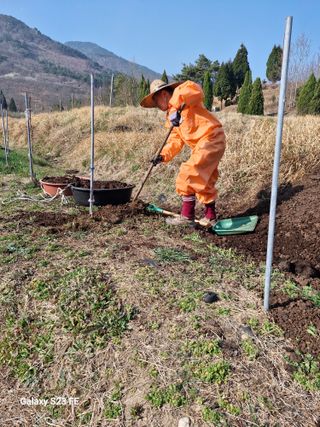 (김영준)쉐프님의 2025 풍년들게 하소서! · 참여글 작성글 사진