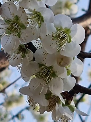 마늘6843님의 자유주제 · 자유게시판 작성글 사진