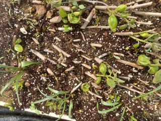 무료지식나눔 팜닥터님의 자유주제 · 자유게시판 작성글 사진