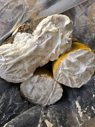 김성환님의 2025 풍년들게 하소서! · 참여글 작성글 사진