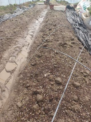 무료지식나눔 팜닥터님의 자유주제 · 자유게시판 작성글 사진