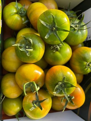 정길영님의 작성글 사진