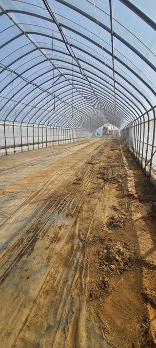 변은심님의 2025 풍년들게 하소서! · 참여글 작성글 사진