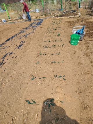 이박농장님의 자유주제 · 자유게시판 작성글 사진