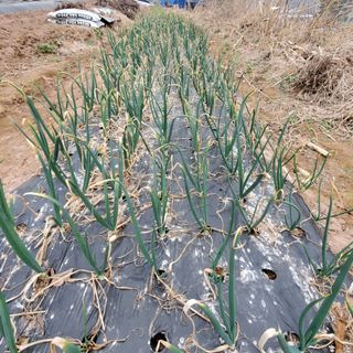 정연섭님의 자유주제 · 자유게시판 작성글 사진