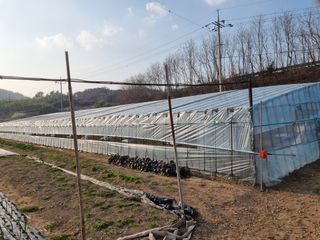 밭메는 여우님의 자유주제 · 자유게시판 작성글 사진