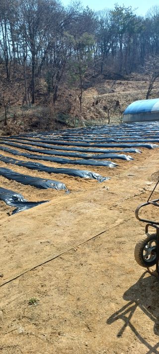 김두현님의 자유주제 · 사진전 작성글 사진