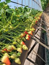 팜모닝 2025 풍년들게 하소서!·참여글 게시글 이미지