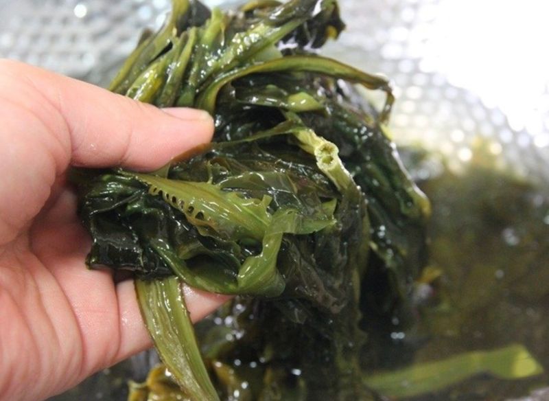 김진국님의 장터 판매 상품 [완도 자연산 산모용 꼭지미역 300g] 첨부 사진