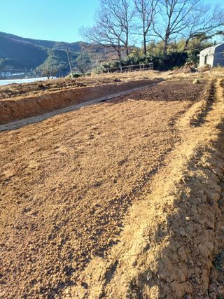 송광호님의 2025 풍년들게 하소서! · 참여글 작성글 사진