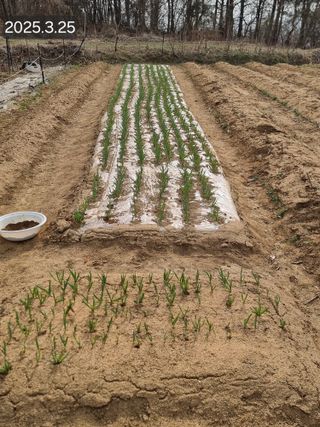 정석범님의 자유주제 · 자유게시판 작성글 사진