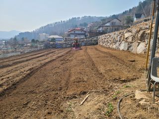 이박농장님의 자유주제 · 자유게시판 작성글 사진