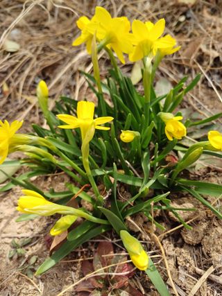 유영옥님의 자유주제 · 자유게시판 작성글 사진