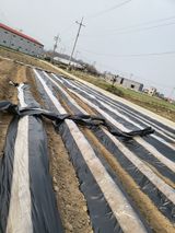 팜모닝 자유주제·자유게시판 게시글 이미지