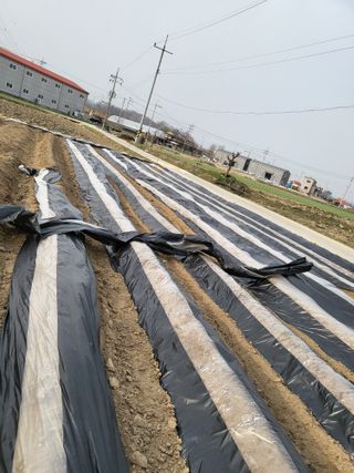 박순례님의 자유주제 · 자유게시판 작성글 사진