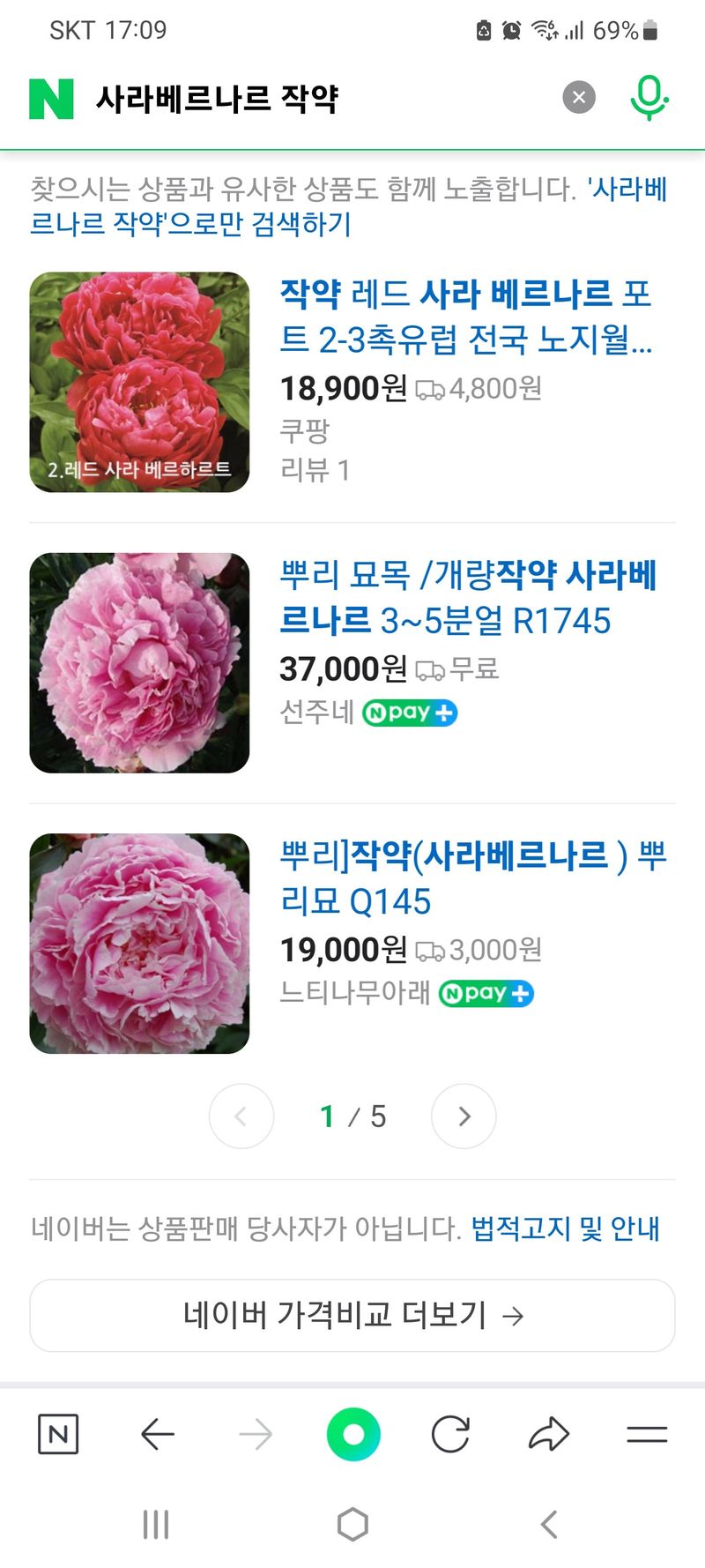 김정원님의 장터 판매 상품 [올해 꽃 피는 핑크 겹작약 사라베르나르 부케 작약 구근 ] 첨부 사진