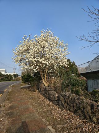 제주 지안이네농장님의 자유주제 · 자유게시판 작성글 사진