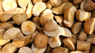 친환경님의 자유주제 · 자유게시판 작성글 사진