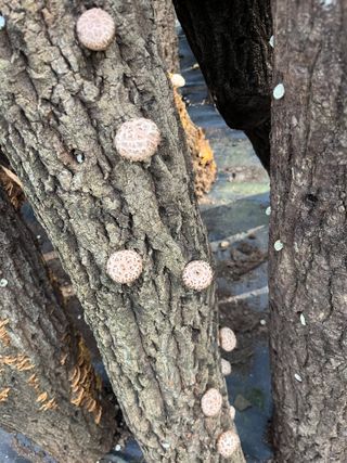 한밭농원님의 자유주제 · 자유게시판 작성글 사진