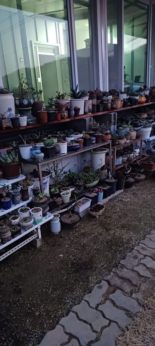 김두현님의 자유주제 · 사진전 작성글 사진