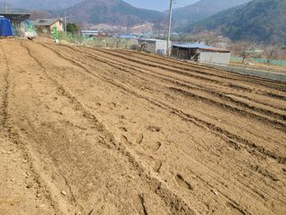 이박농장님의 자유주제 · 자유게시판 작성글 사진