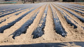 친환경님의 자유주제 · 자유게시판 작성글 사진