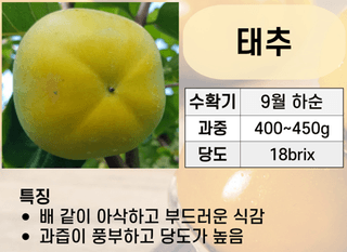 우리농원님의 자유주제 · 자유게시판 작성글 사진