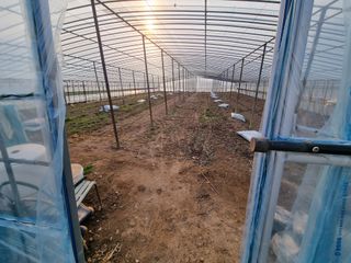 밭메는 여우님의 자유주제 · 자유게시판 작성글 사진