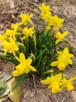 유영옥님의 자유주제 · 자유게시판 작성글 사진