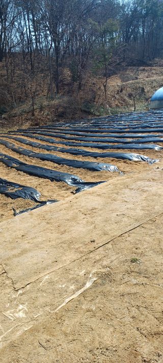 김두현님의 자유주제 · 사진전 작성글 사진
