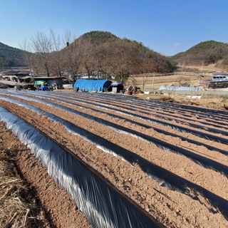 정연섭님의 자유주제 · 자유게시판 작성글 사진
