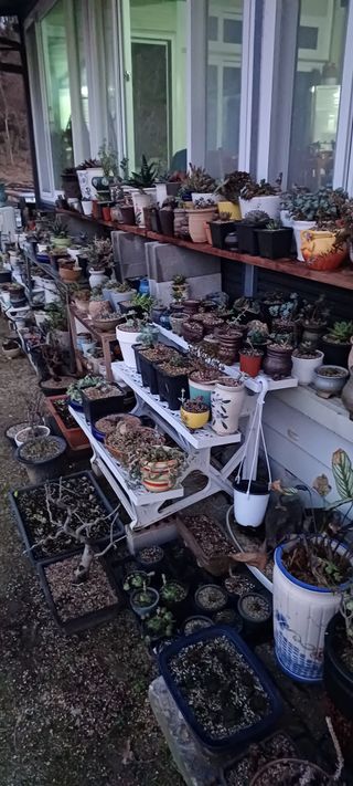 김두현님의 자유주제 · 사진전 작성글 사진