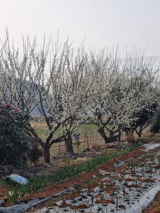 마늘6843님의 자유주제 · 자유게시판 작성글 사진