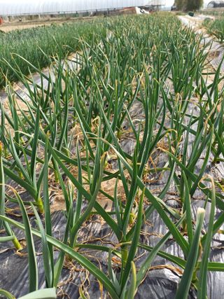 유영옥님의 자유주제 · 자유게시판 작성글 사진