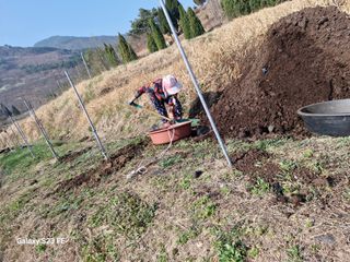 (김영준)쉐프님의 2025 풍년들게 하소서! · 참여글 작성글 사진