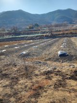 팜모닝 2025 풍년들게 하소서!·참여글 게시글 이미지