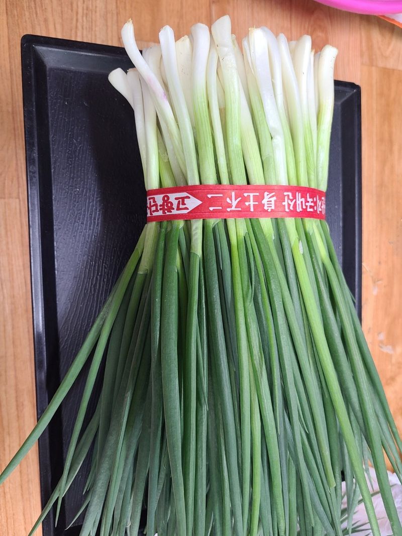 김윤기님의 장터 판매 상품 [무공해 쪽파 깐쪽파 팝니다(5kg.10kg)] 첨부 사진