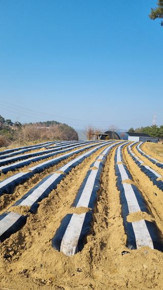 박종준님의 2025 풍년들게 하소서! · 참여글 작성글 사진