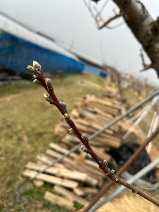이호승님의 농사, 무엇이든 물어보세요! · 참여글 작성글 사진